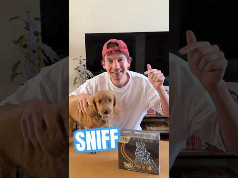 MY PUPPY SNIFFS OUT POKÉMON CARDS