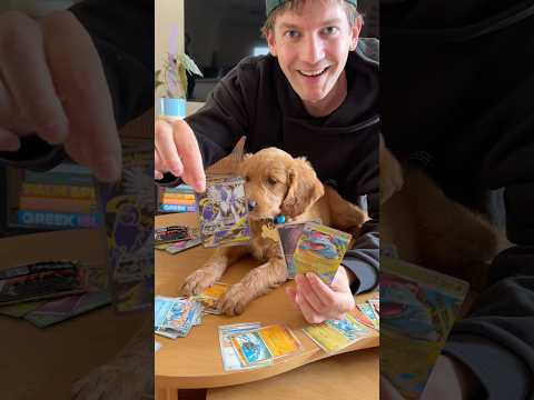 MY PUPPY OPENED POKEMON CARDS!
