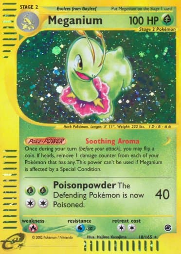 Meganium (18)