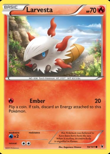 Larvesta (19)