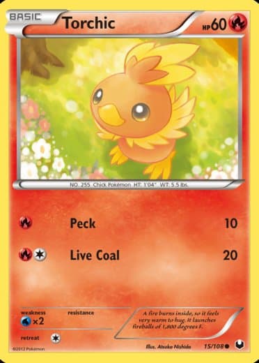 Torchic (15)