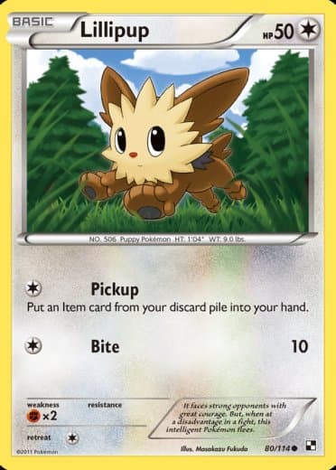 Lillipup (80)