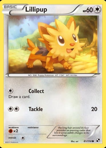 Lillipup (81)