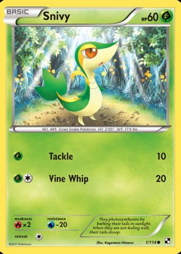 Snivy (1)