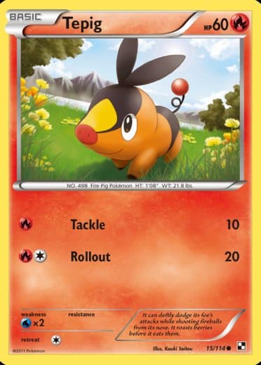 Tepig (15)