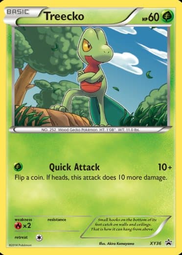Treecko - XY36