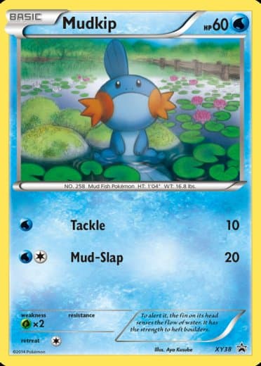 Mudkip - XY38