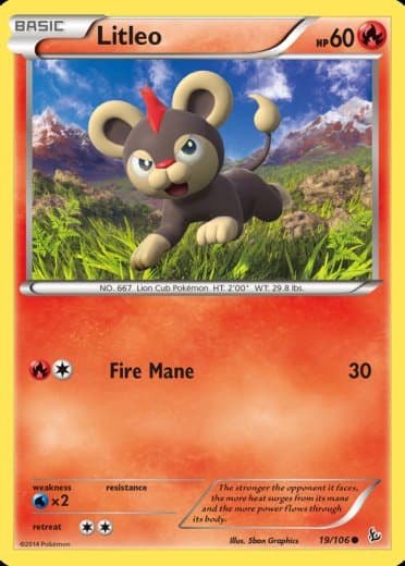 Litleo (19)