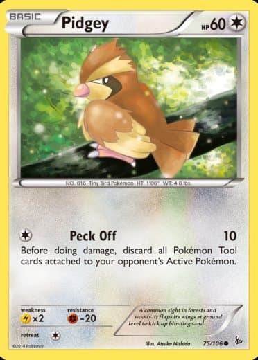 Pidgey