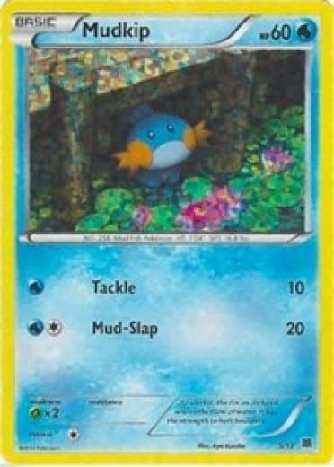 Mudkip - 5/12