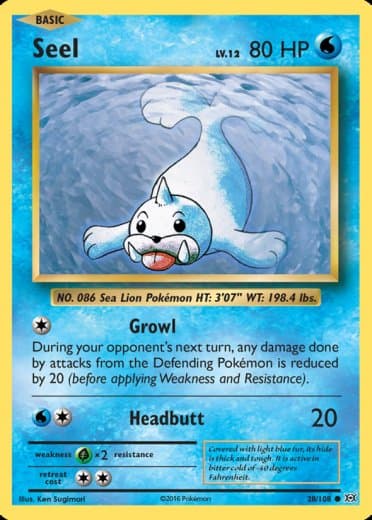 Seel