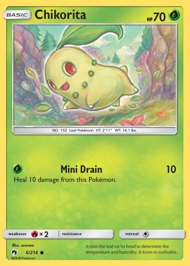 Chikorita (6)