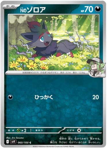 N's Zorua