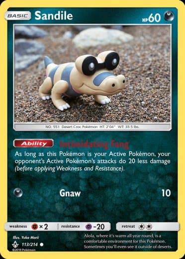 Sandile (113)