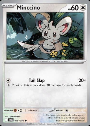 Minccino