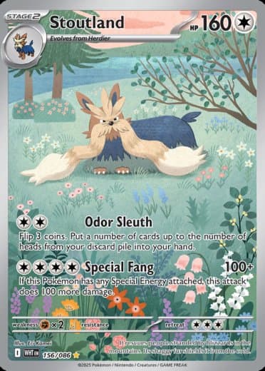 Stoutland - 156/086