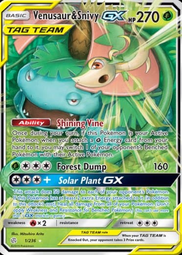 Venusaur & Snivy GX