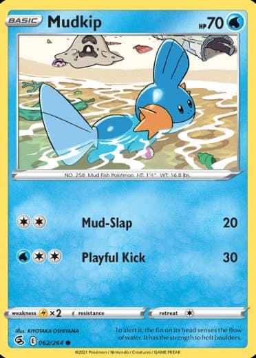 Mudkip