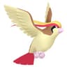 Pidgeot