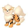 Arcanine
